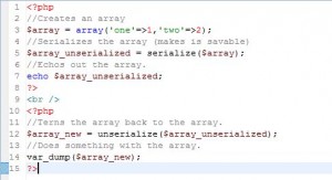 php serialize code